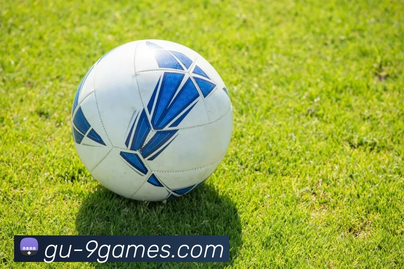 九游会官网服务体系